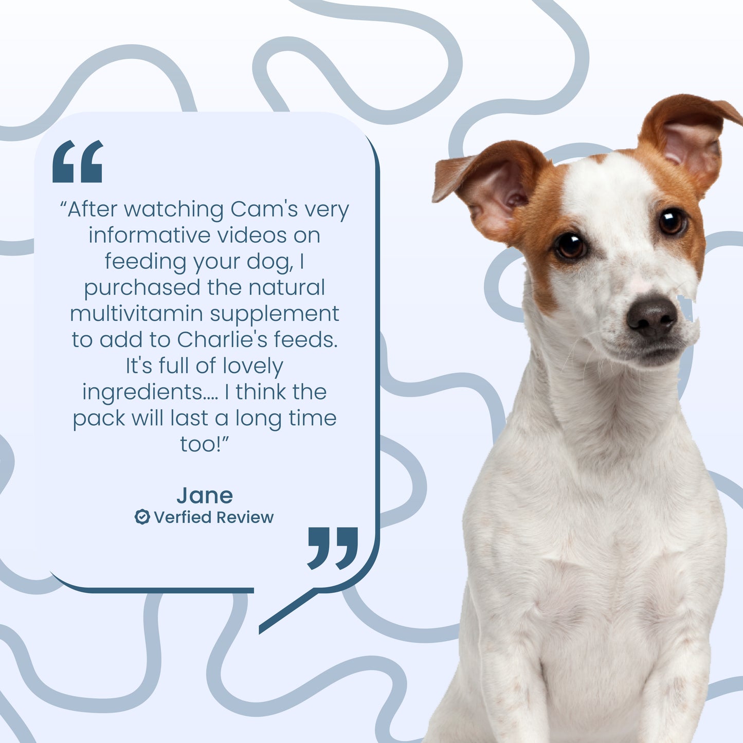 Meal Topper Multi-Vitamin by The Dog Nutritionist