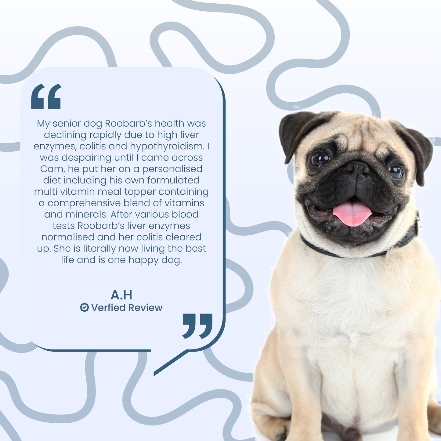 Meal Topper Multi-Vitamin by The Dog Nutritionist