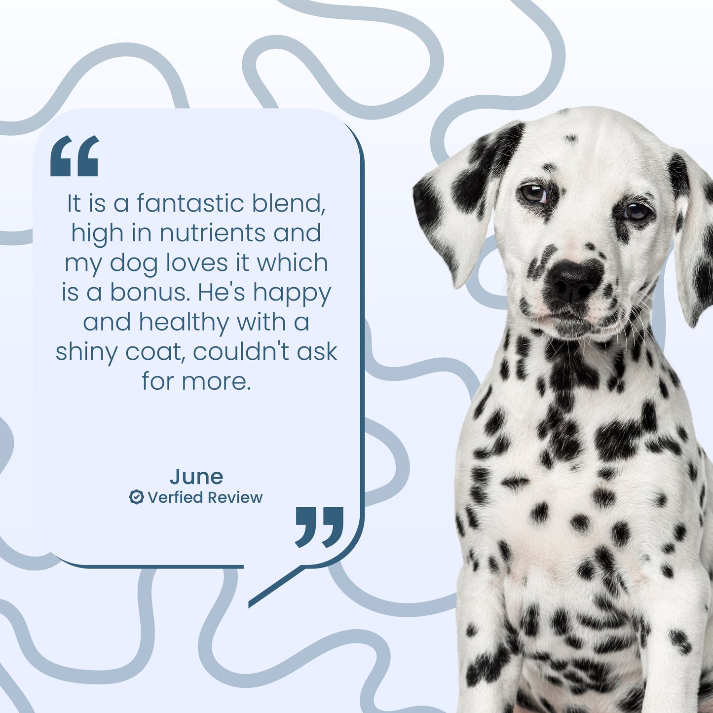 Meal Topper Multi-Vitamin by The Dog Nutritionist