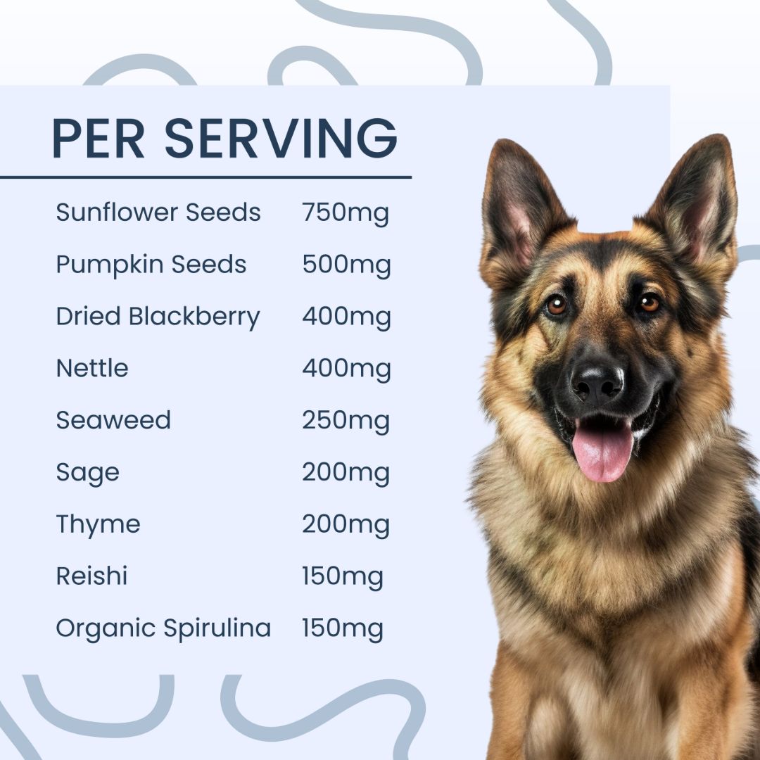 Meal Topper Multi-Vitamin by The Dog Nutritionist