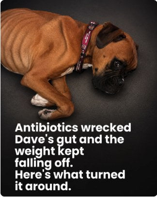 Dave