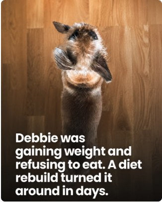 Debbie & Paula