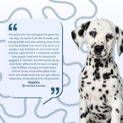 Dog Health Transformation Pack