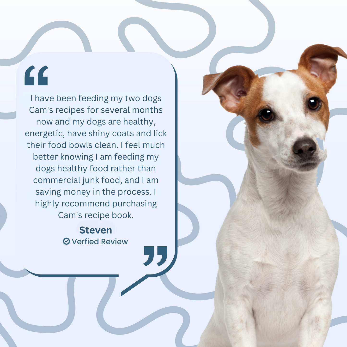 Dog Health Transformation Pack