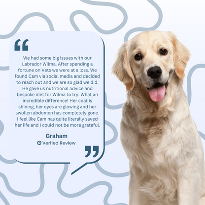 Dog Health Transformation Pack