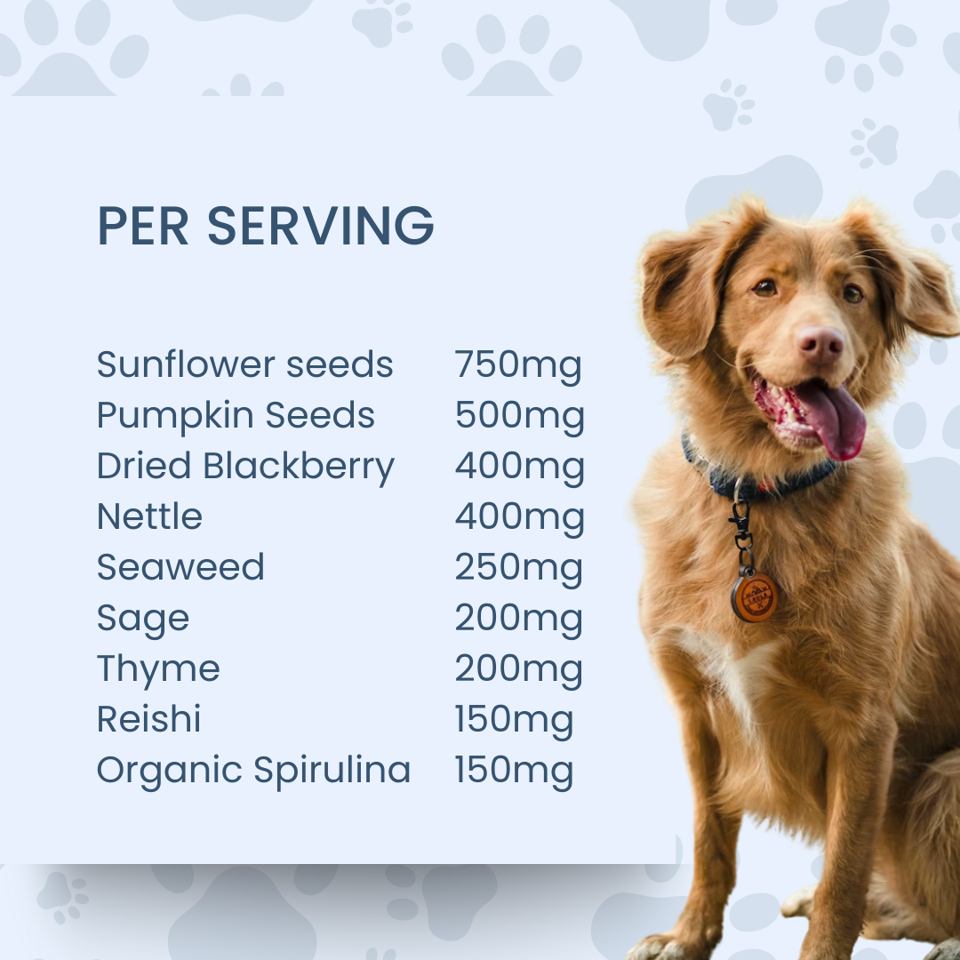 Meal Topper Multi-Vitamin by The Dog Nutritionist