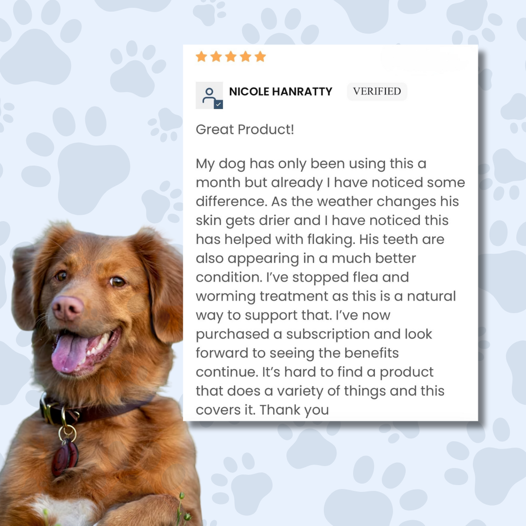 Meal Topper Multi-Vitamin by The Dog Nutritionist