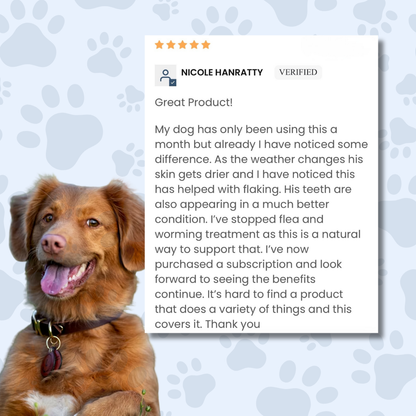 Meal Topper Multi-Vitamin by The Dog Nutritionist