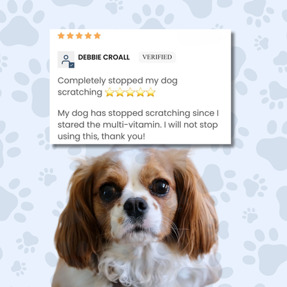 Meal Topper Multi-Vitamin by The Dog Nutritionist