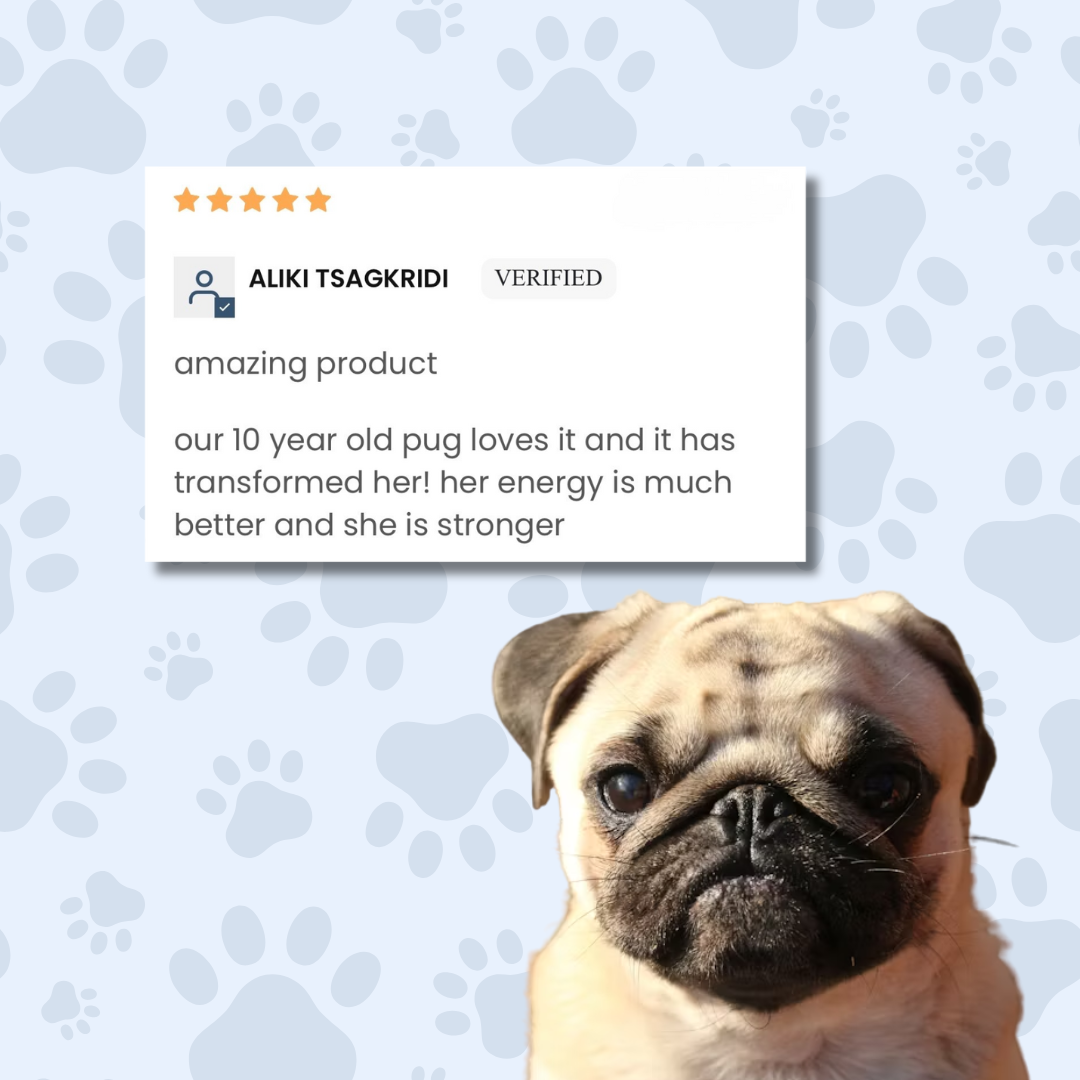 Meal Topper Multi-Vitamin by The Dog Nutritionist