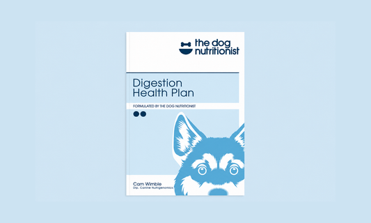 Digestion Recipes