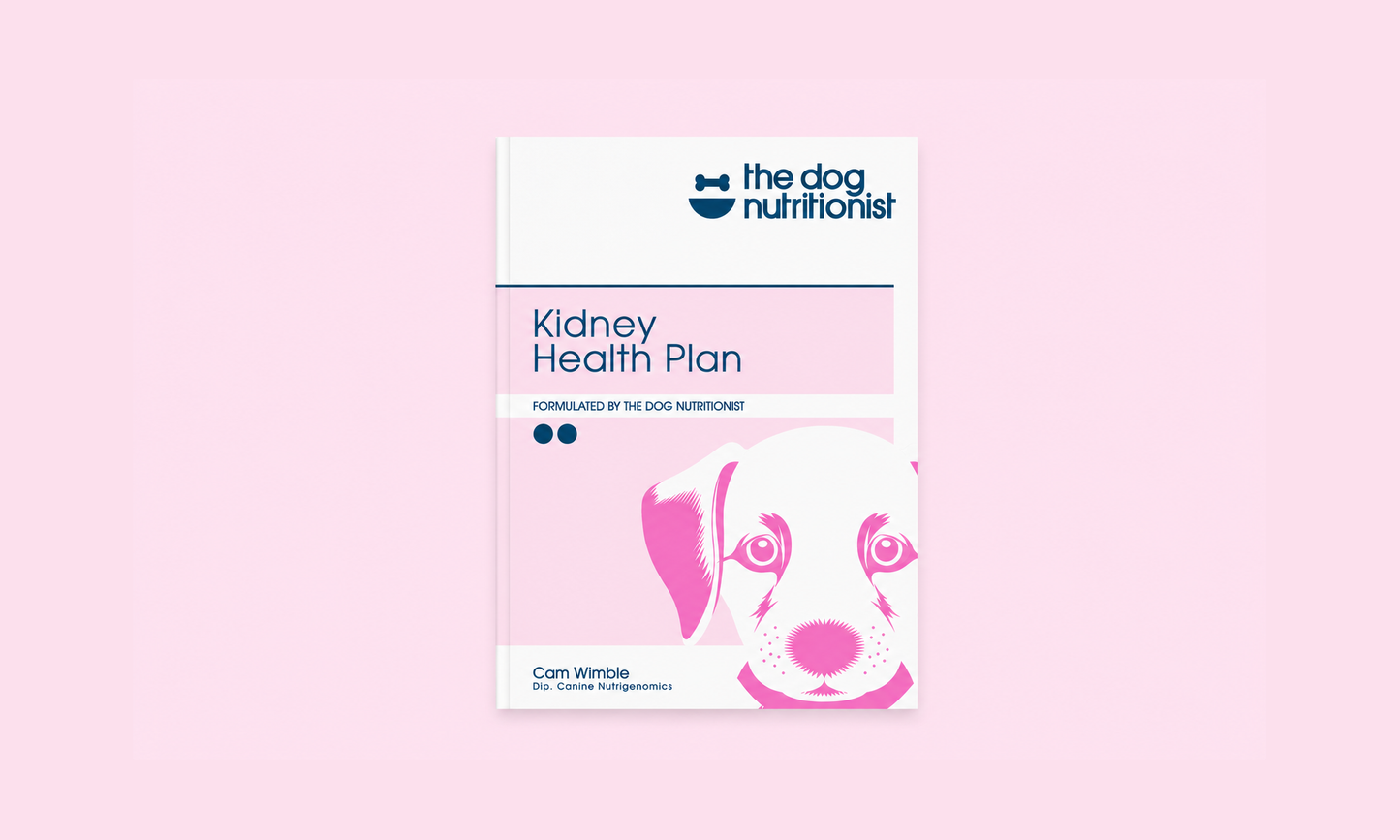 Kidney Recipes