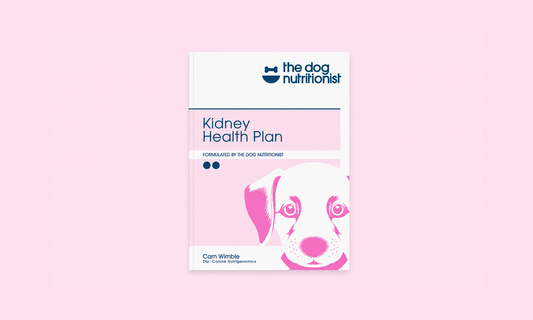 Kidney Recipes