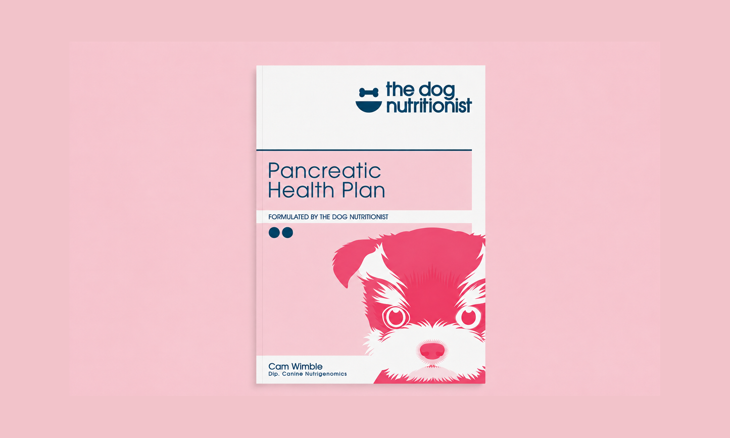 Pancreas Recipes