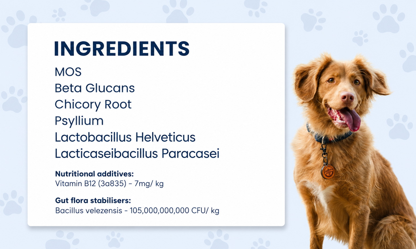 Probiotic