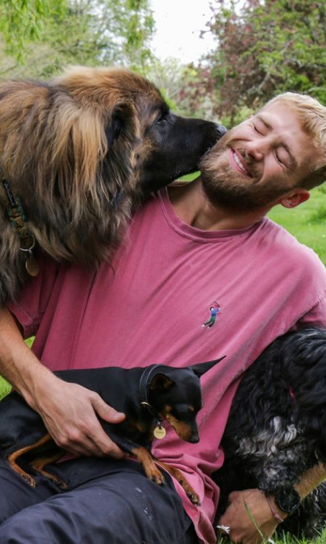 The Dog Nutritionist Recipes and Consultations